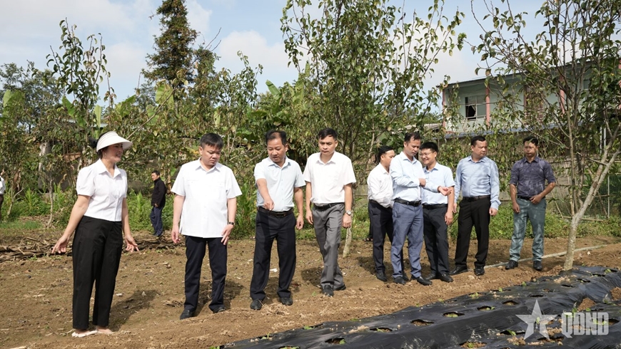 Mua Thị Và - Trưởng thôn người Mông gieo niềm tin nơi biên cương Tuyên Quang