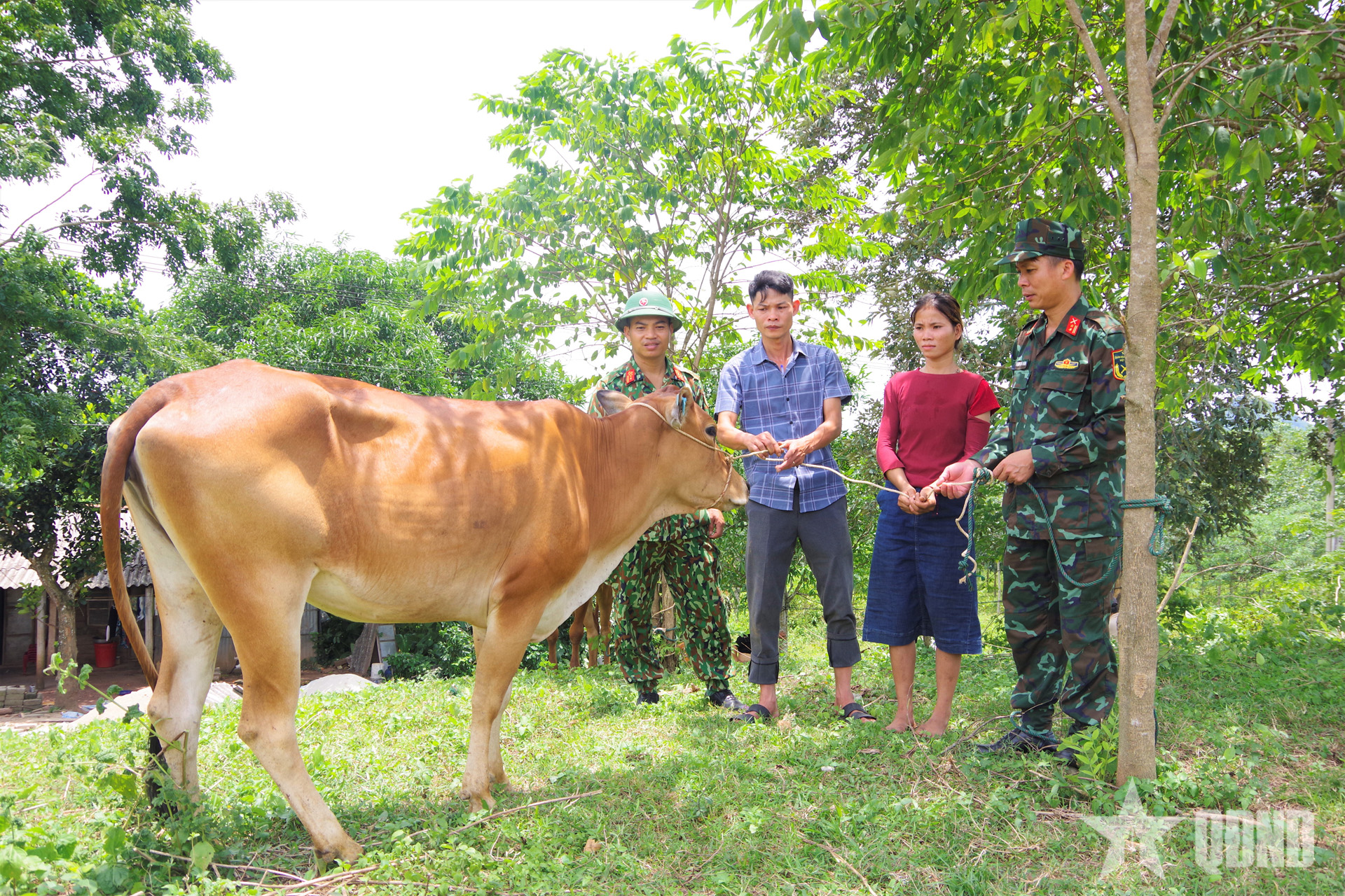 Lo cho dân những việc dân cần