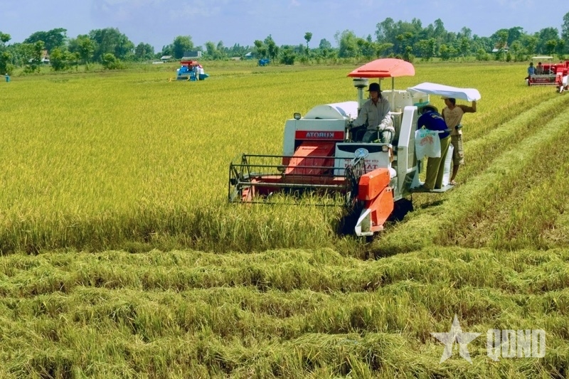 Vững vàng tiến bước