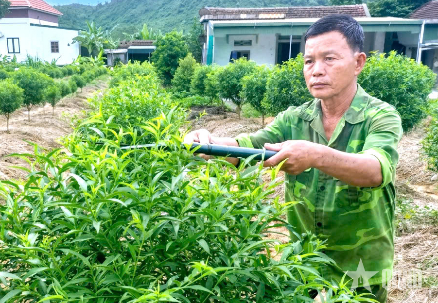 Cựu chiến binh 