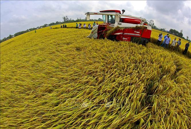 Cần có bản đồ năng suất nông nghiệp