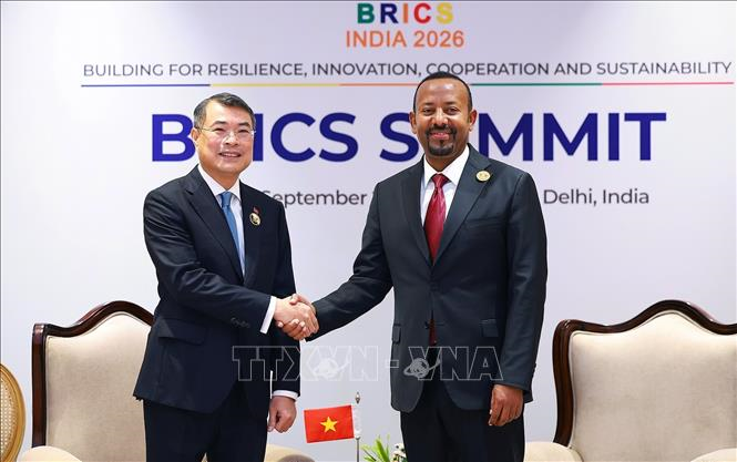 Thủ tướng Lê Minh Hưng gặp Thủ tướng Ethiopia Abiy Ahmed Ali