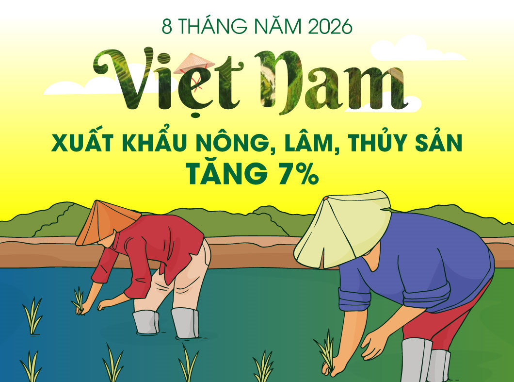 Việt Nam: Xuất khẩu nông, lâm, thủy sản tăng 7% trong 8 tháng năm 2026