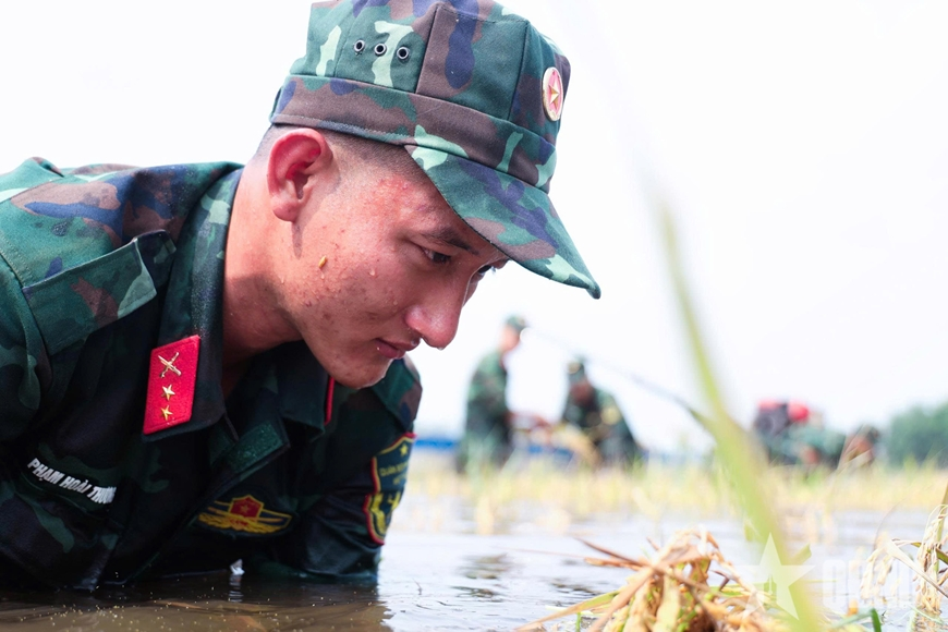Tây Ninh: Bộ đội giúp dân thu hoạch lúa trong vùng ngập