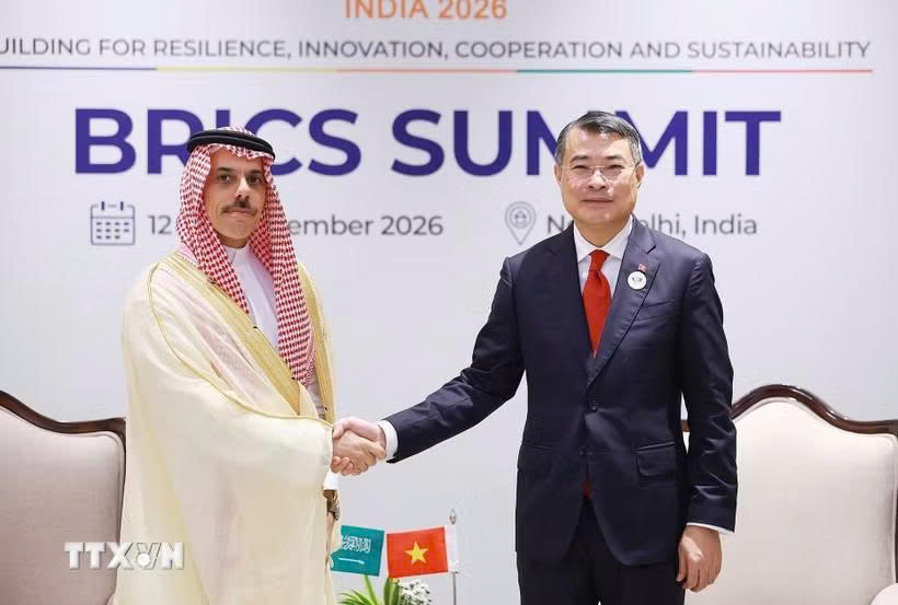 Việt Nam mong muốn phát triển quan hệ hiệu quả, thực chất với Saudi Arabia 