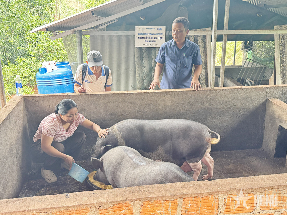Tuần hoàn xanh - Nâng cao khả năng phục hồi khí hậu trên đất đại ngàn