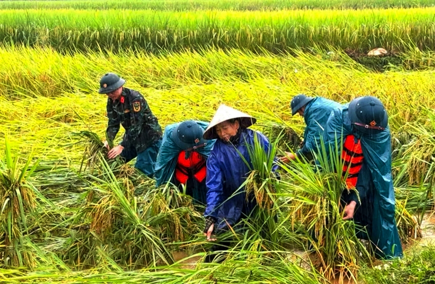 Thanh Hóa: Tập trung ứng phó mưa lũ, bảo đảm an toàn cho nhân dân
