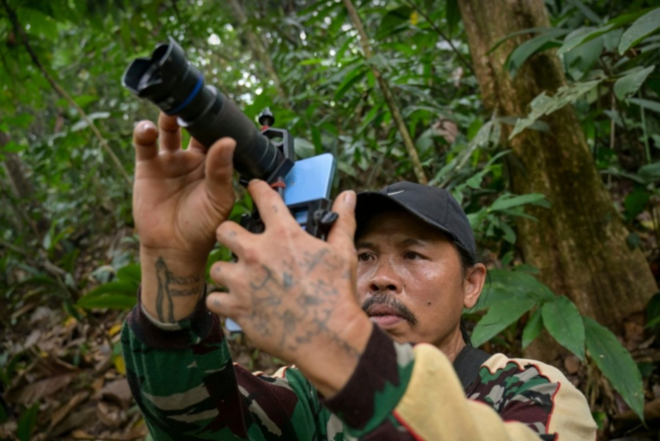 Người dân làng ở Indonesia được trả tiền để quan sát động vật hoang dã