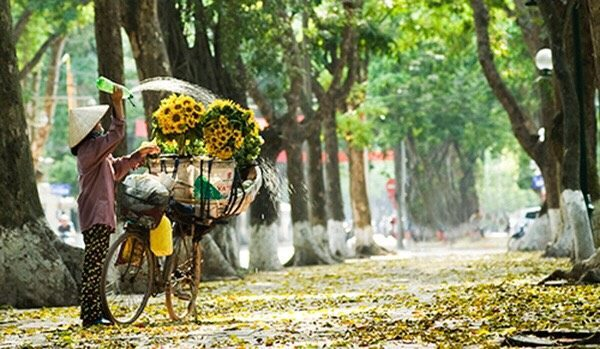 Thời tiết hôm nay (21-9): Miền Bắc ngày nắng, miền Trung và miền Nam có mưa, cục bộ có nơi mưa rất to