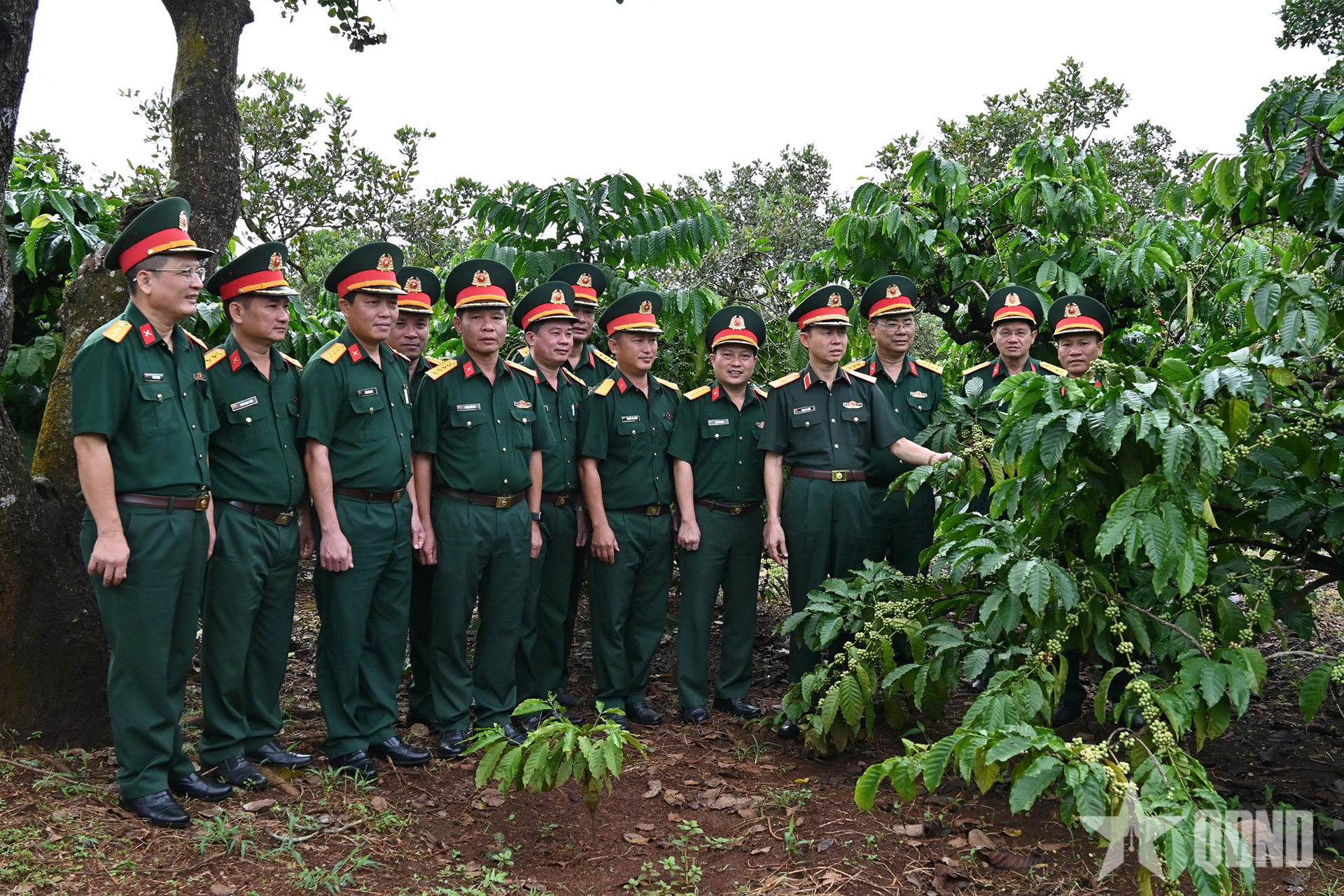 Binh đoàn 16: Đoàn Kinh tế - Quốc phòng 719 hoàn thành tốt nhiệm vụ 9 tháng năm 2026