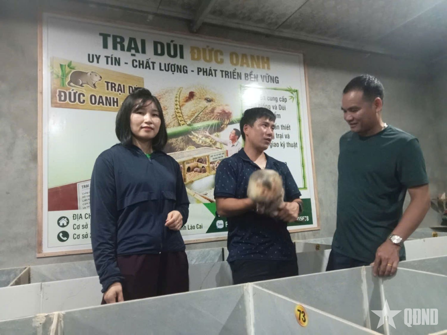 Nuôi dúi - hướng phát triển kinh tế ở Văn Lang