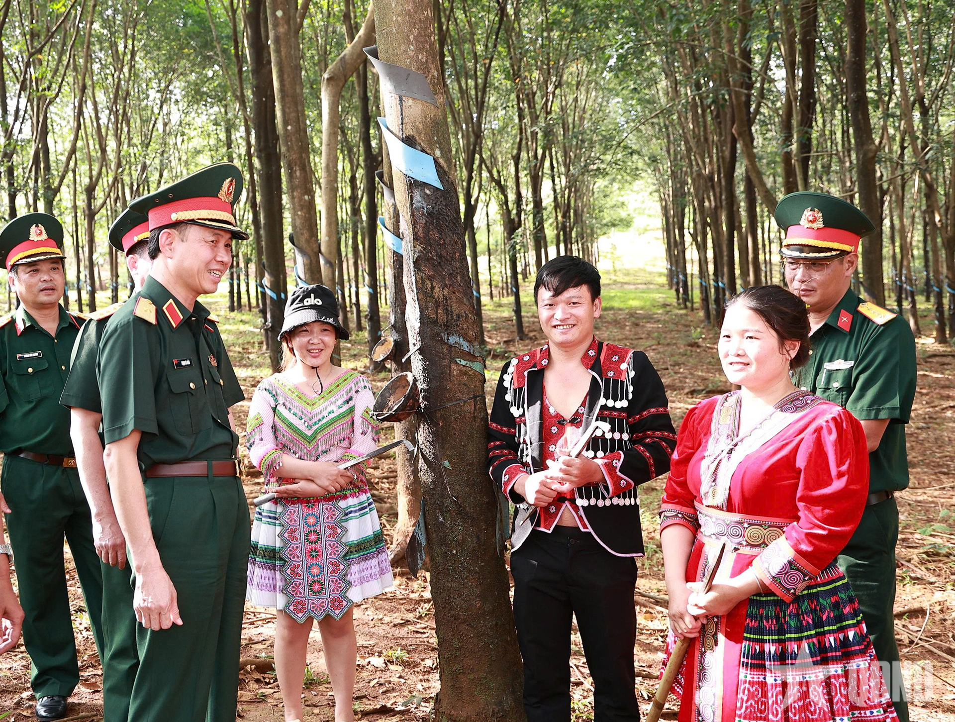 Binh đoàn 16: Nâng cao hiệu quả thực hiện nhiệm vụ tại các đoàn kinh tế - quốc phòng