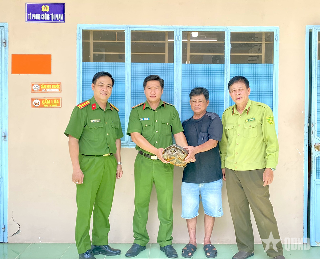 An Giang: Người dân giao nộp cá thể rùa quý hiếm