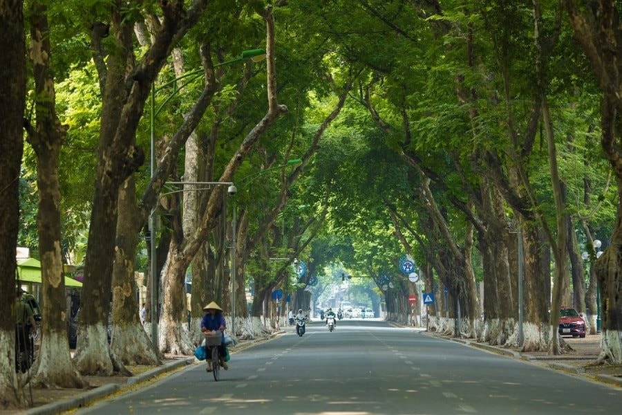 Thời tiết hôm nay (2-10): Bắc Bộ giảm nóng, Nam Bộ có mưa dông