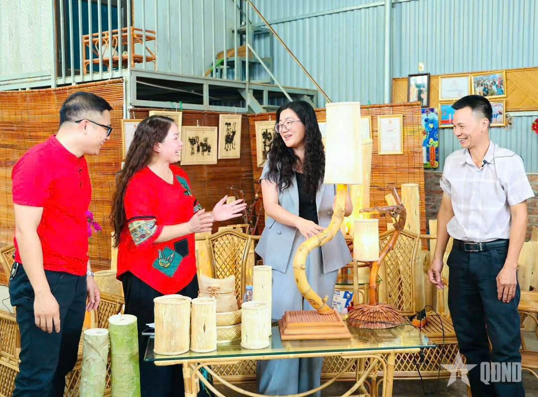 Độc đáo đèn làm từ thân cây đu đủ