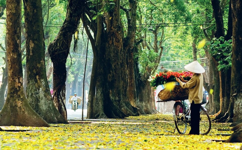 Thời tiết hôm nay (13-10): Bắc Bộ ngày nắng, miền Trung và Nam Bộ có mưa dông