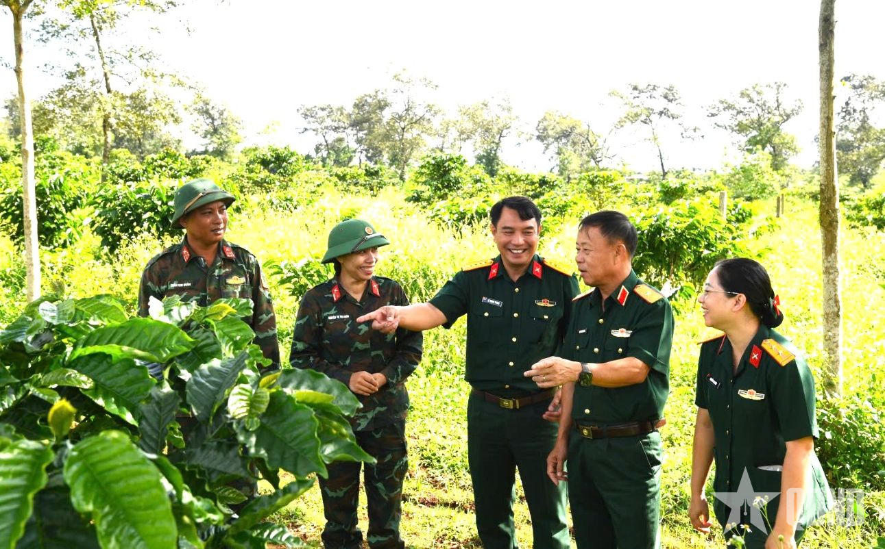 Công ty Cà phê 15: Gắn hiệu quả sản xuất với nhiệm vụ quốc phòng, an ninh