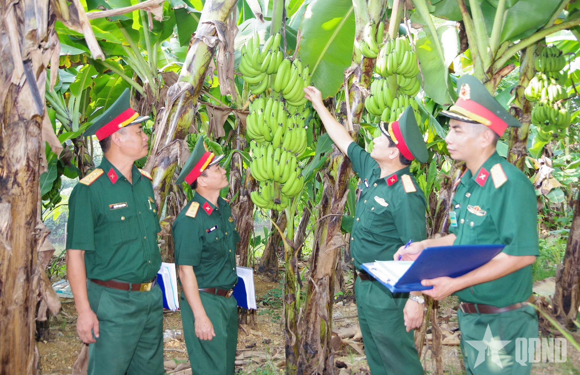 Trường Sĩ quan Pháo binh tổ chức thi tăng gia sản xuất thời kỳ giáp vụ