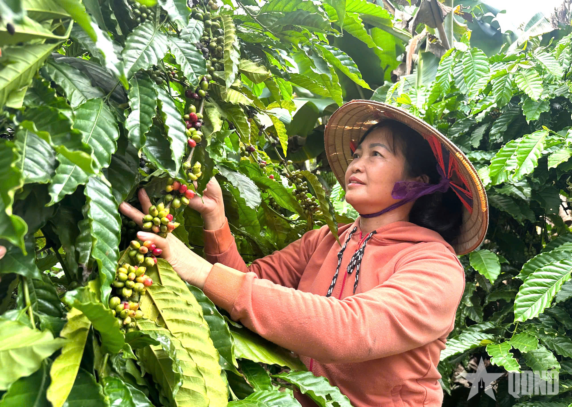 Những nữ nông dân thay đổi tư duy, làm chủ ruộng vườn
