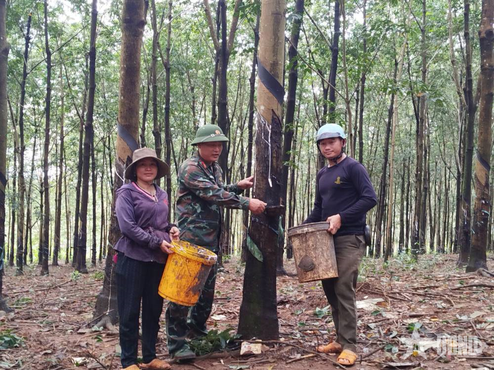 Đoàn Kinh tế - Quốc phòng 720 (Binh đoàn 16): Đưa pháp luật đến với người lao động vùng sâu

