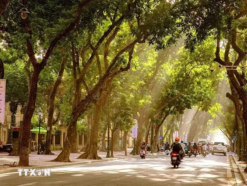 Thời tiết hôm nay (19-10): Bắc Bộ ngày nắng, Nam Bộ có mưa rào và rải rác có dông