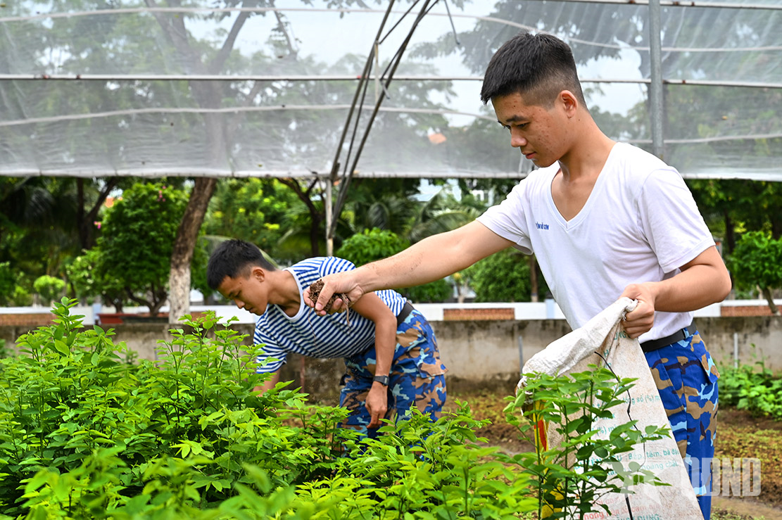 Doanh trại xanh sạch đẹp nhờ hội thi 4 chuyên ngành hậu cần