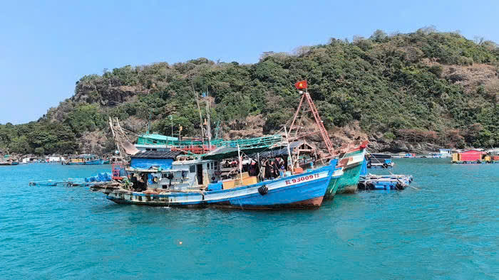 Làm rõ trách nhiệm trong việc chống khai thác hải sản bất hợp pháp ở Cà Mau