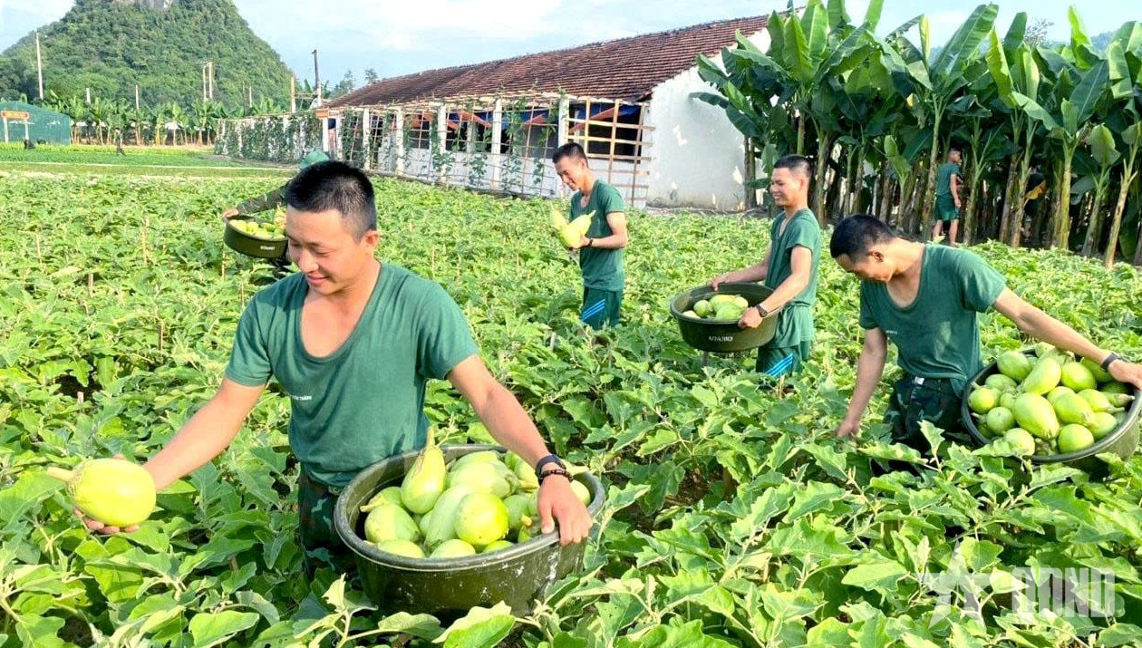 Thực hiện tốt phương châm 