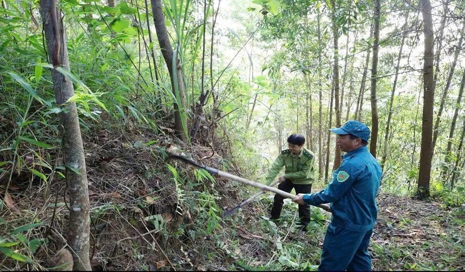 Lào Cai siết chặt bảo vệ rừng trước mùa khô hanh