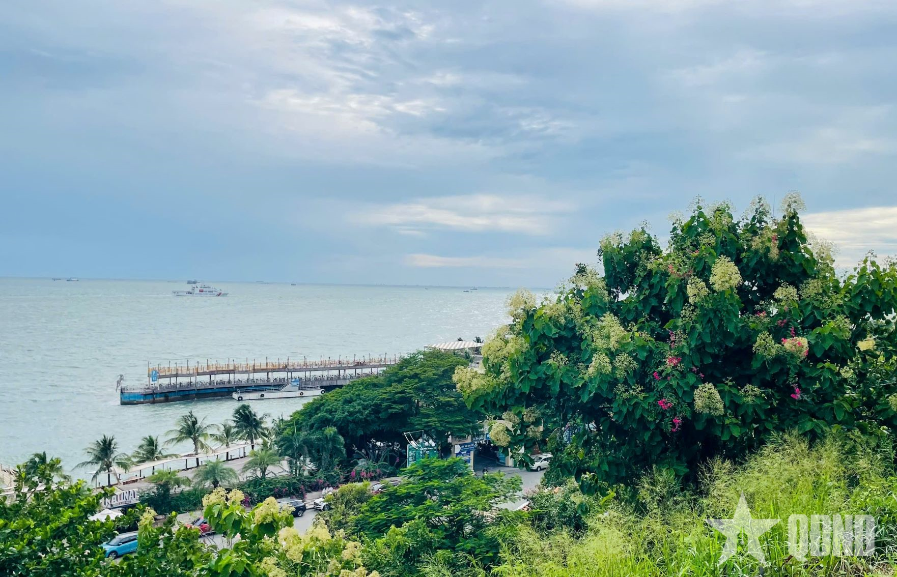 “Nhìn thấy non sông đất nước này”