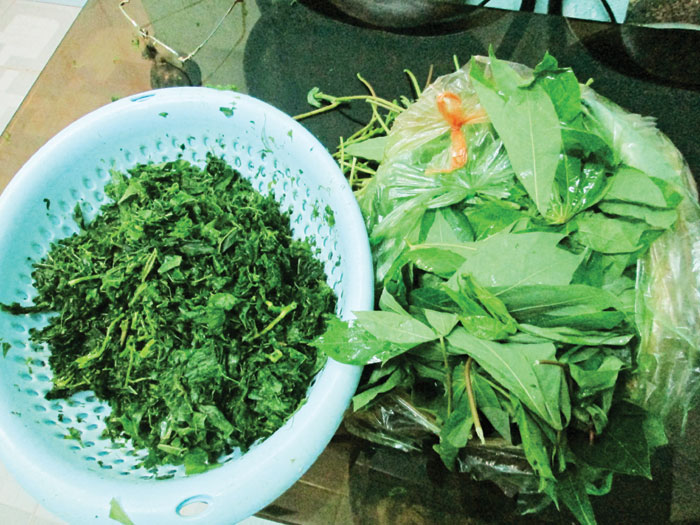 Đặc sản rau rừng