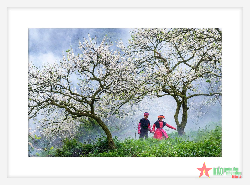 Trang thơ Tết Quý Mão 2023