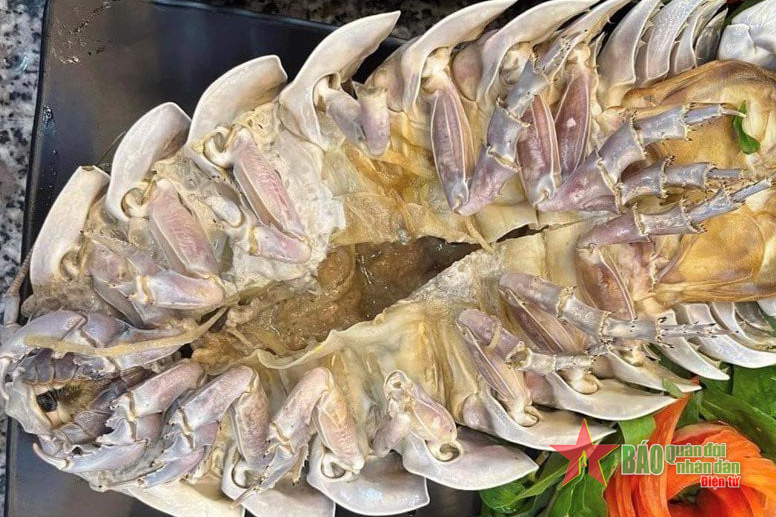 Món ngon bọ biển