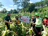 “Cây sáng kiến” nặng nghĩa Đảng, tình dân