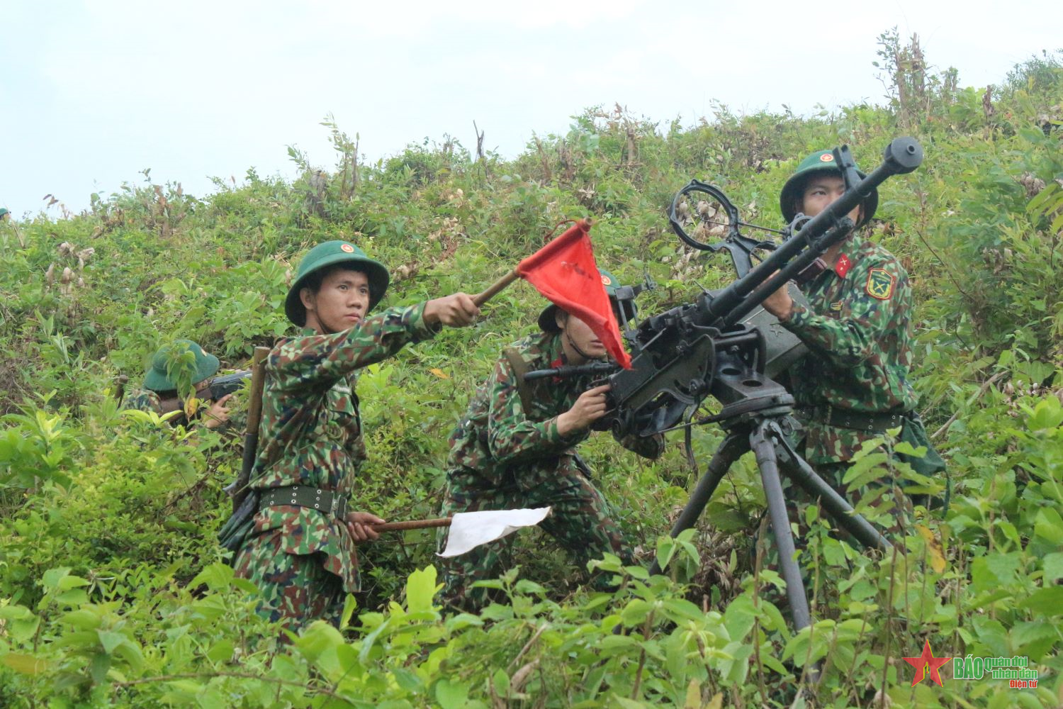 Trái tim màu hoa phượng

