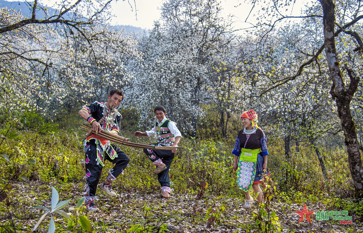 Xuân trên rẻo cao