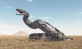 Thế giới đó đây: Hóa thạch loài rắn khổng lồ