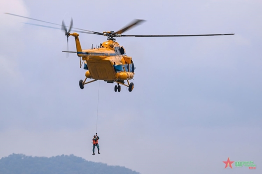 Khi chim sắt thả treo

