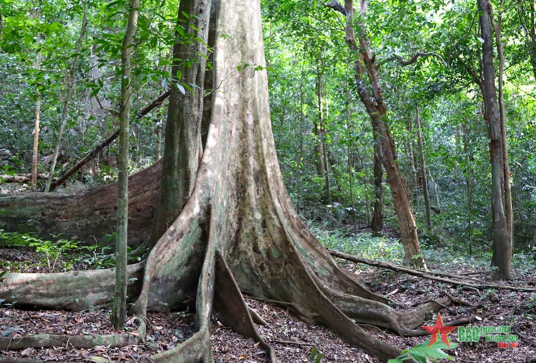 Quán quân “Oscar ngành du lịch” Việt Nam