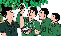 Nấu cơm không nồi