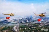 Giấc mơ dưới bầu trời Tổ quốc

