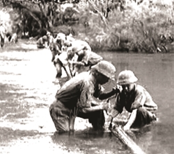 Giọt xăng, giọt máu