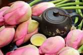 Vương nỗi nhớ trà sen