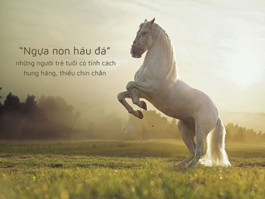 Chữ và nghĩa: Ngựa non háu đá


