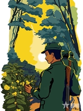 Hoa dú dẻ