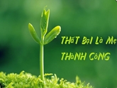 Chữ và nghĩa: Thất bại là mẹ thành công

