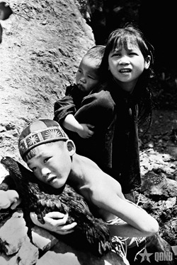 Bức ảnh chụp trên điểm tựa