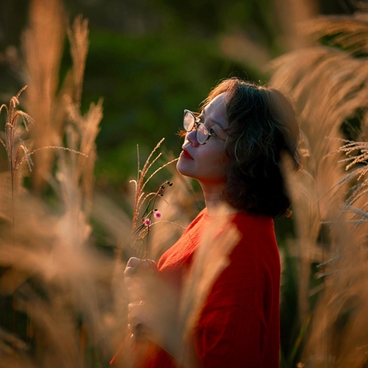 Thơ PHẠM THÙY VINH