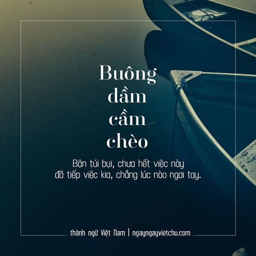 Buông dầm cầm chèo