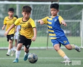 Không chỉ trông vào kinh nghiệm